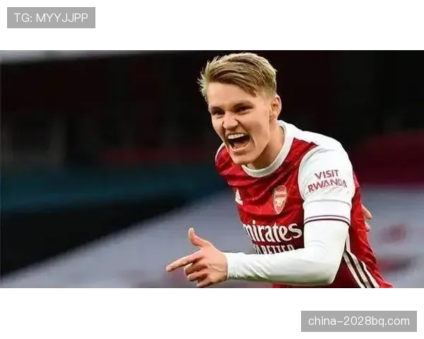 厄德高为何评价两极分化？技术特点与战术适配性的深层矛盾