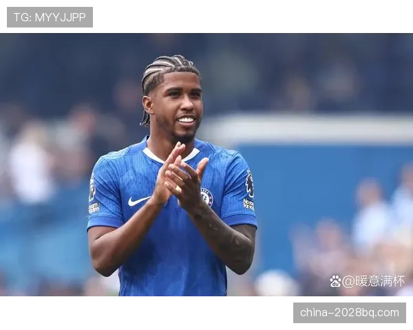 恩佐1亿转会费是否溢价？基于数据表现与赛场价值的深度评估